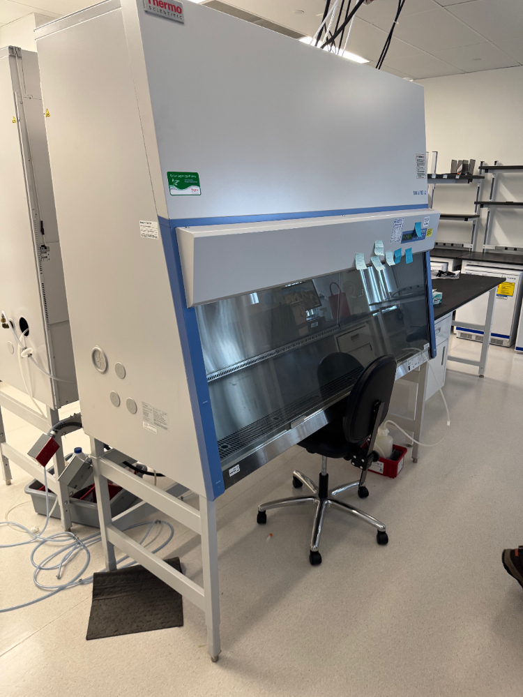 Image of Thermo Scientific 1300 Series A2 BSC- 6ft